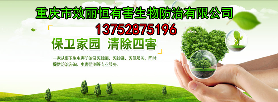 ta11111111111111.jpg